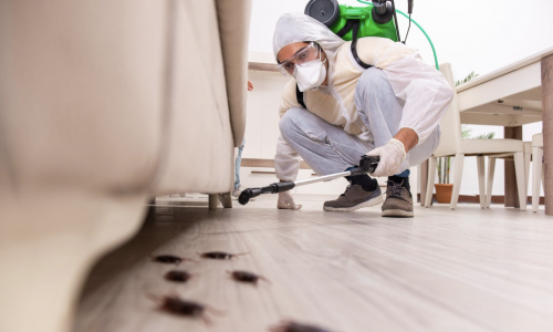 эффективное уничтожение насекомых